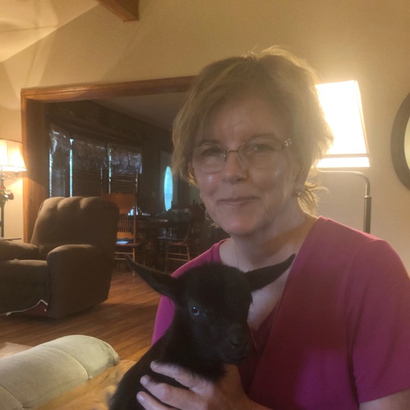 Meet your Posher, Sindy - Picture 2 of 2